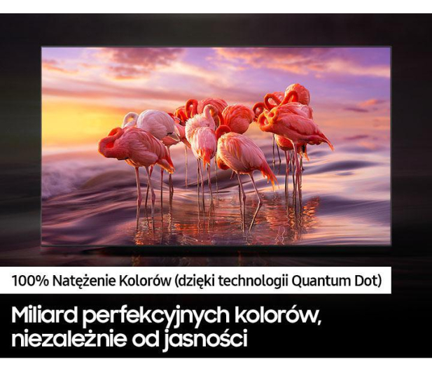 Samsung TV SAMSUNG 50" QE50Q67BAU QLED 4K Tizen DVB-T2/HEVC # - 1461479 - zdjęcie 6